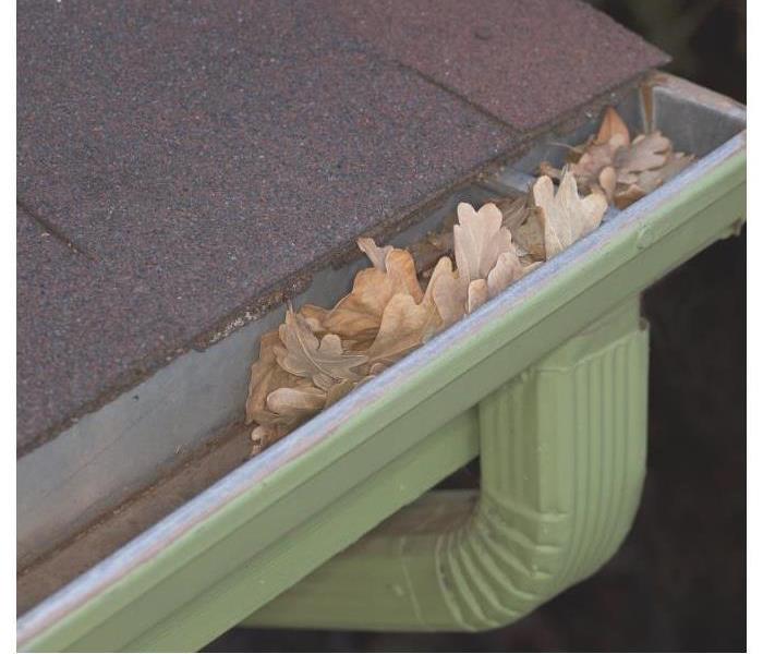 Rain gutter with leaves