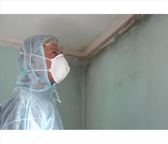 Man wearing protective gear and mask while observing top of the ceiling with mold growth 