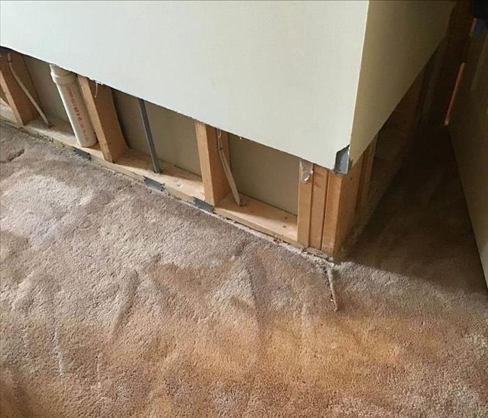 wet carpet, flood cuts performed on drywall